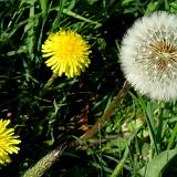 0705F 08 Moehnetal